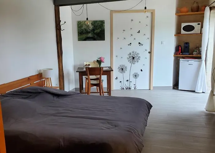 D Hotes La Barbee Damvix